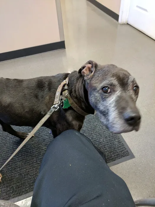 Grove Center Veterinary Hospital Picture 1