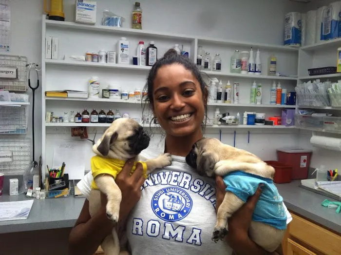 Petco Picture 1