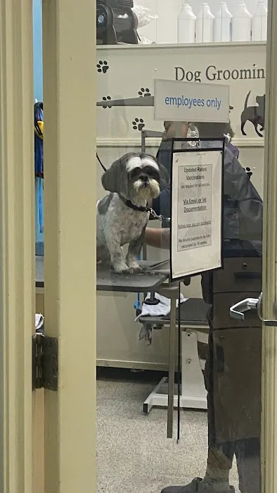 Petco Picture 4