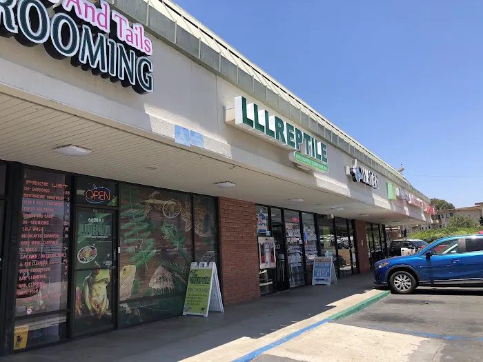 LLLReptile & Supply Mission Valley Picture 1