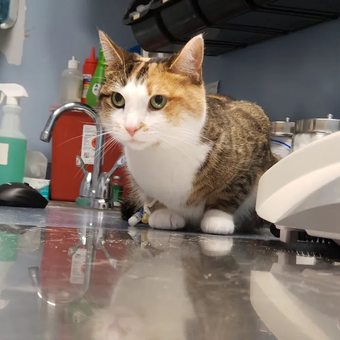 Banfield Pet Hospital Picture 2