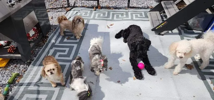 Banfield Pet Hospital Picture 10