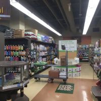 Petco ico
