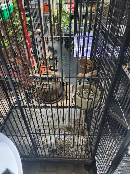 Lemon Grove Pet supplies and EXOTICS Picture 2