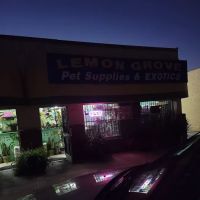 Lemon Grove Pet supplies and EXOTICS ico