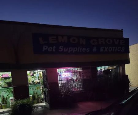 Lemon Grove Pet supplies and EXOTICS