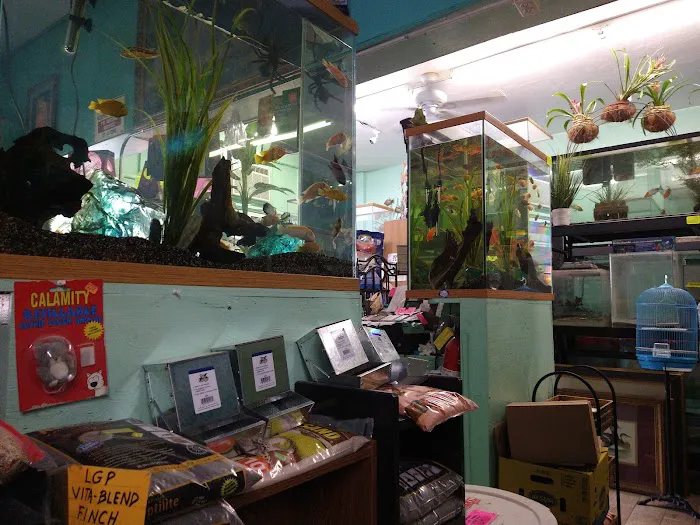 Lemon Grove Pet supplies and EXOTICS Picture 5