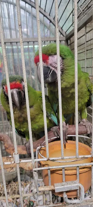 Lemon Grove Pet supplies and EXOTICS Picture 3