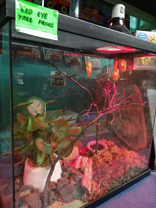 Lemon Grove Pet supplies and EXOTICS Picture 7