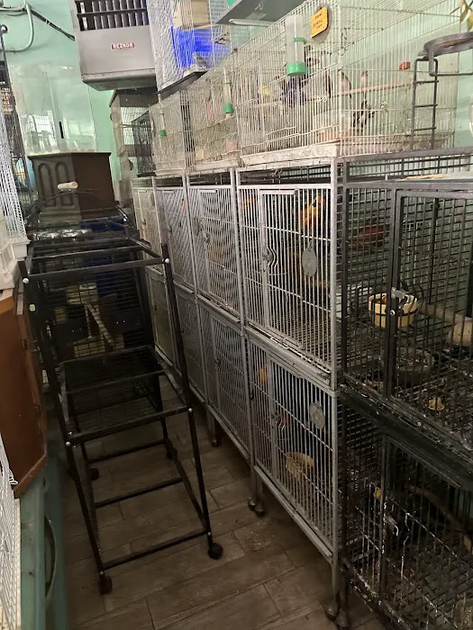 Lemon Grove Pet supplies and EXOTICS Picture 10