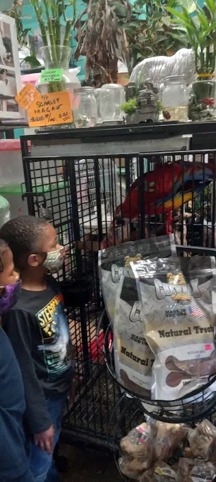 Lemon Grove Pet supplies and EXOTICS Picture 8