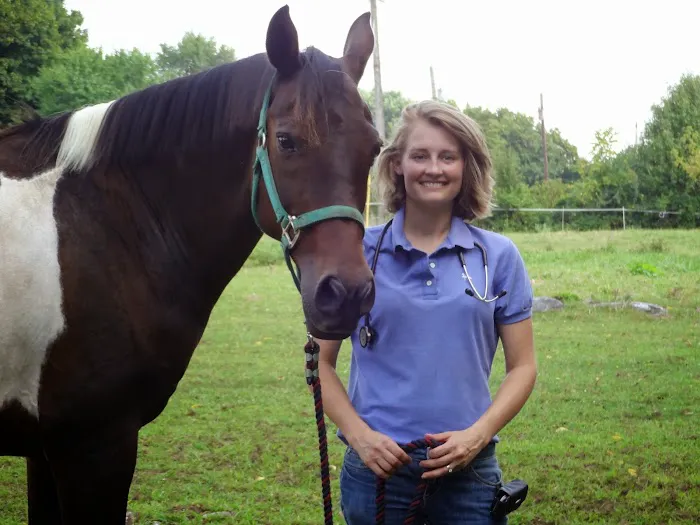 Century Equine Veterinary Services, LLC Picture 2