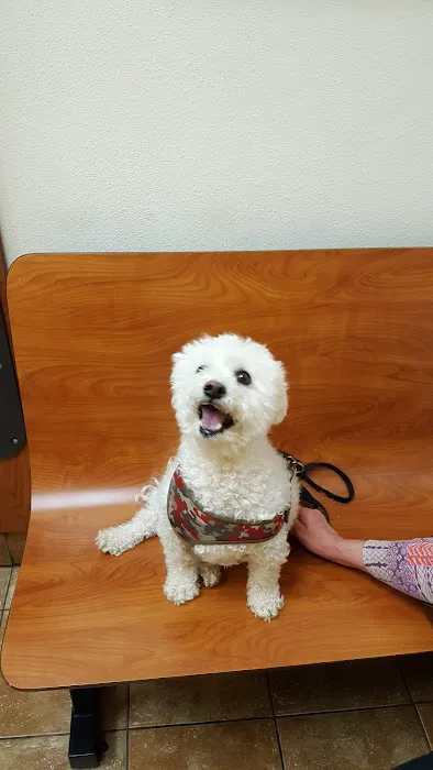 Banfield Pet Hospital Picture 7