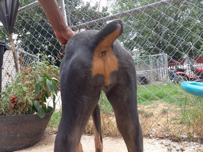 Banfield Pet Hospital Picture 6