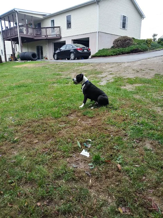 Banfield Pet Hospital Picture 10