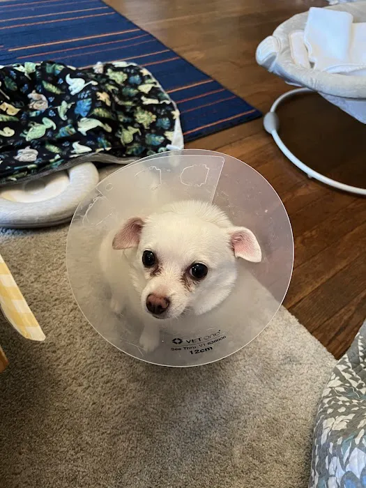 Banfield Pet Hospital Picture 8