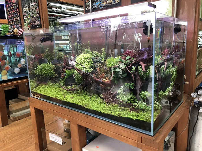 Aquascape Supply Co. Picture 1