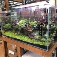 Aquascape Supply Co. ico