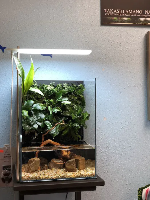 Aquascape Supply Co. Picture 6