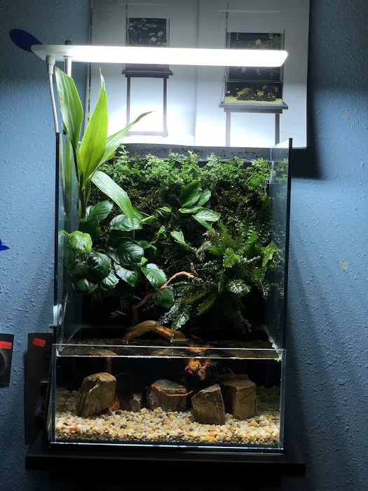 Aquascape Supply Co. Picture 2