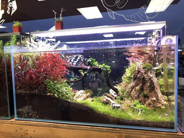 Aquascape Supply Co. Picture 3