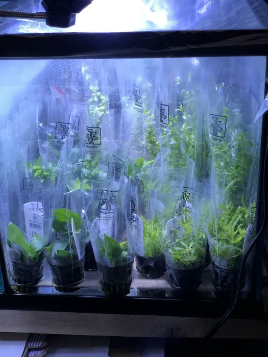 Aquascape Supply Co. Picture 10