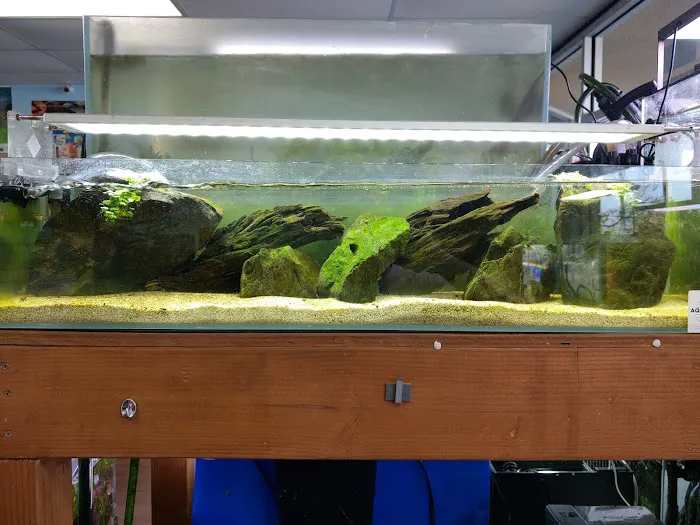Aquascape Supply Co. Picture 4