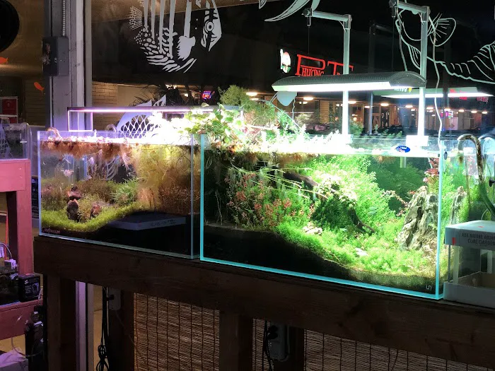 Aquascape Supply Co. Picture 5