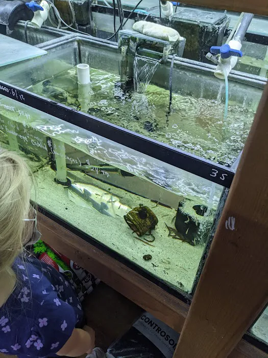 Pet Zone Tropical Fish Picture 5