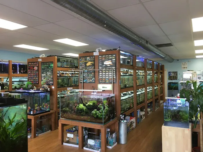 Pet Zone Tropical Fish Picture 1
