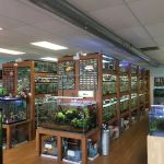 Pet Zone Tropical Fish