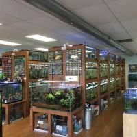 Pet Zone Tropical Fish ico