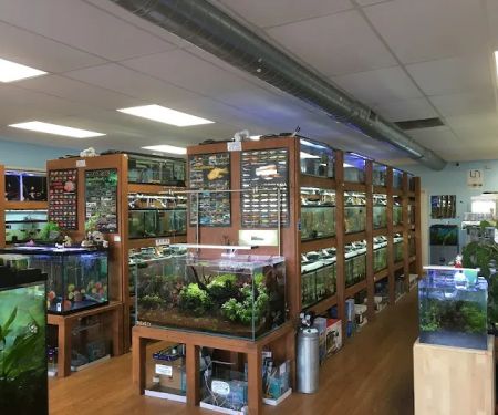 Pet Zone Tropical Fish