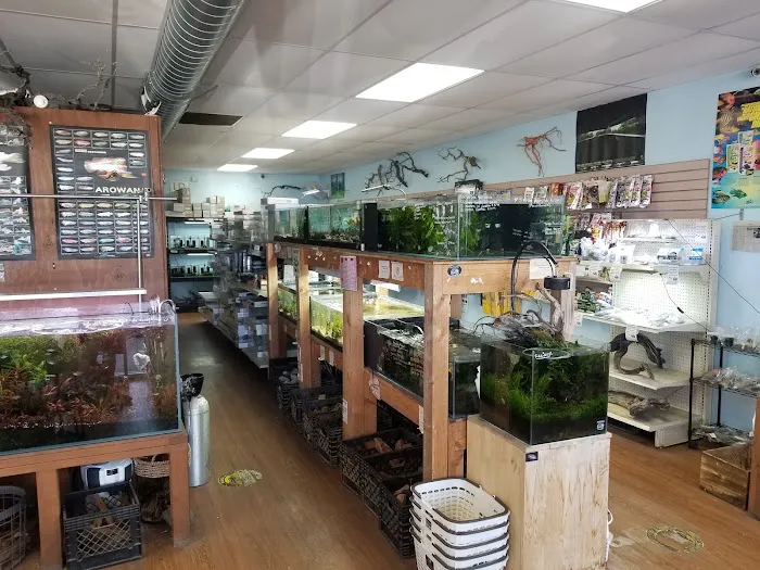Pet Zone Tropical Fish Picture 8