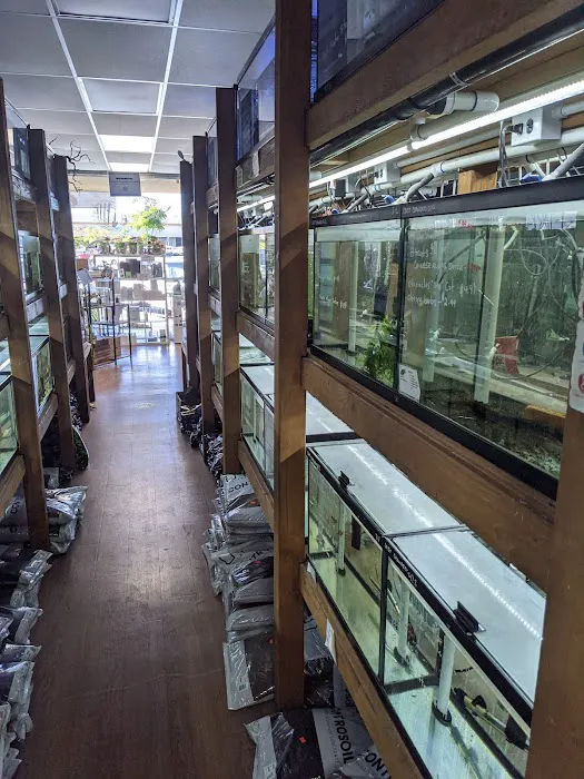Pet Zone Tropical Fish Picture 9