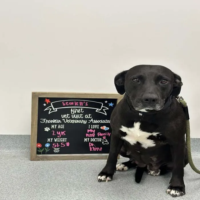 Franklin Veterinary Associates Picture 6