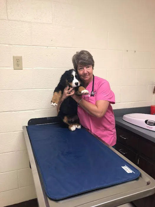 Franklin Veterinary Associates Picture 1