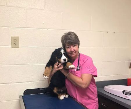 Franklin Veterinary Associates