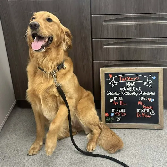 Franklin Veterinary Associates Picture 4