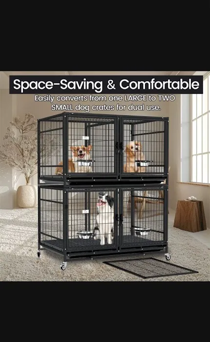 Seaside Pet Shop Picture 5