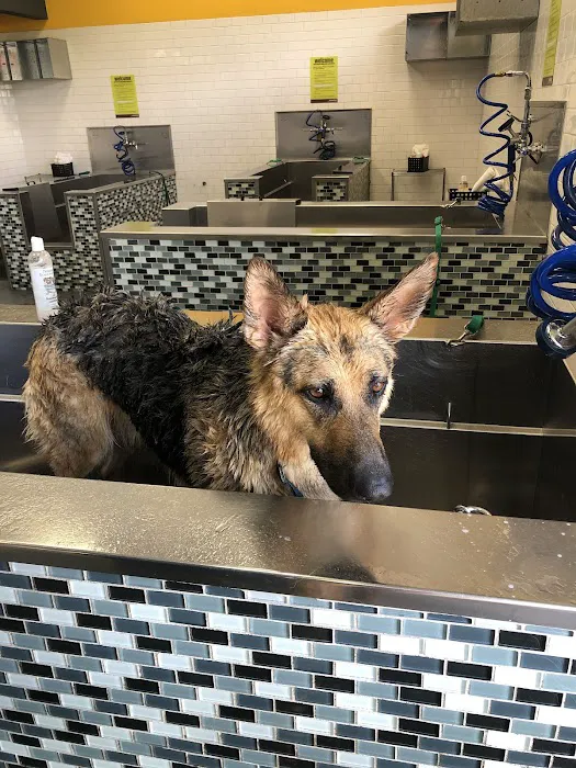 Unleashed by Petco Picture 10