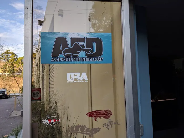 Aquarium Fish Depot Picture 1