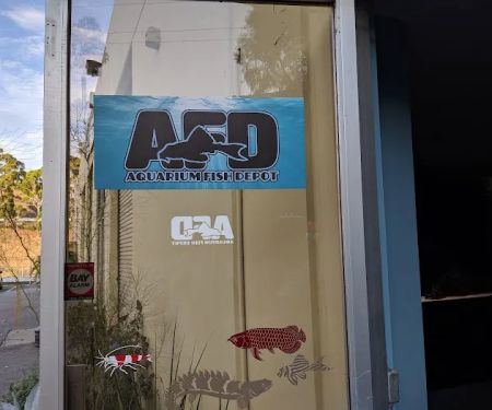 Aquarium Fish Depot