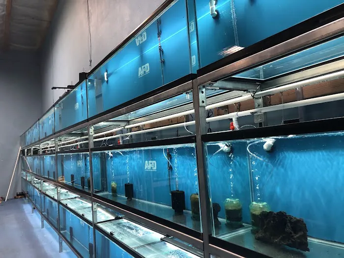 Aquarium Fish Depot Picture 3
