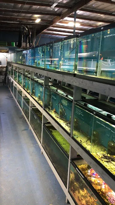 Aquarium Fish Depot Picture 8
