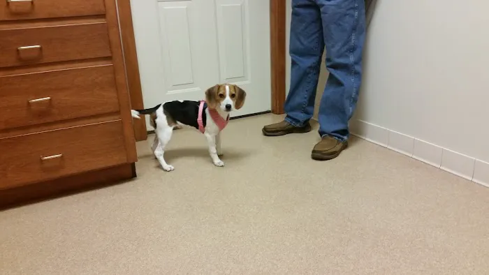 Best Friends Animal Hospital Picture 7
