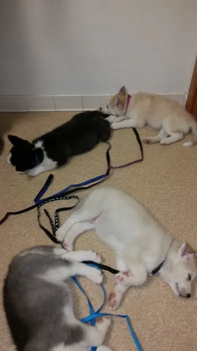 Best Friends Animal Hospital Picture 8