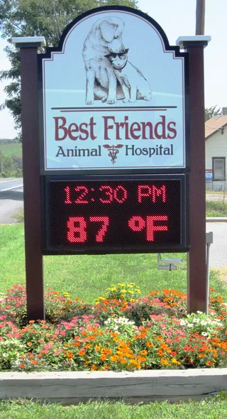 Best Friends Animal Hospital Picture 3