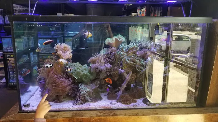 SD CORALS Picture 2