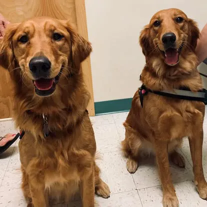 Saint Thomas Veterinary Center Picture 3